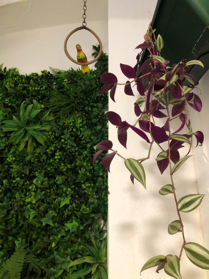 Naturehouse Campo Maior Dış mekan fotoğraf